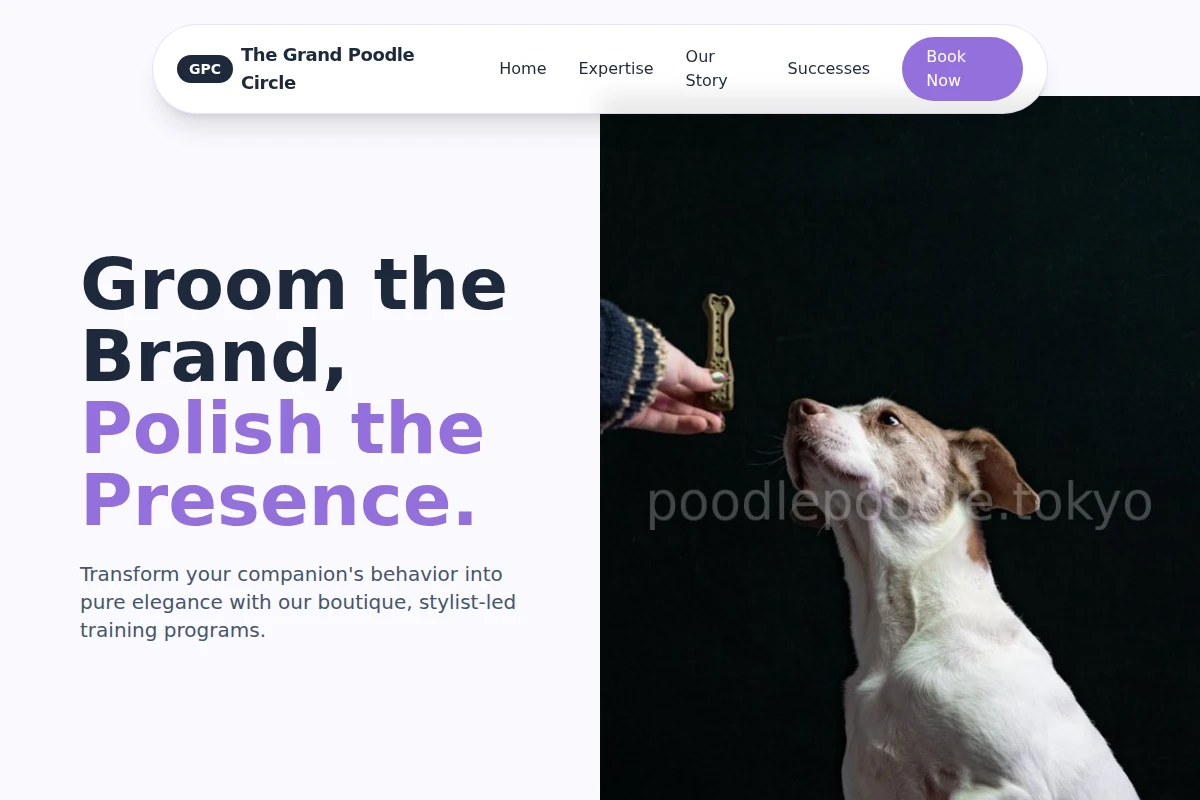 Stylist Dog Training