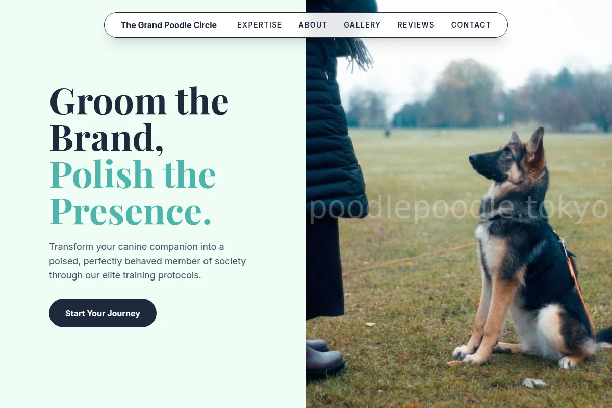 Continental Dog Training
