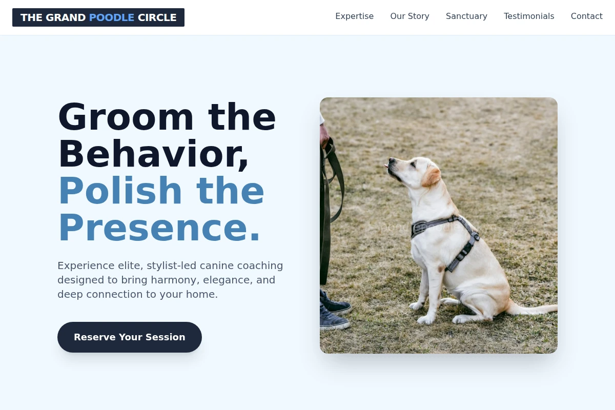 Stylist Dog Training