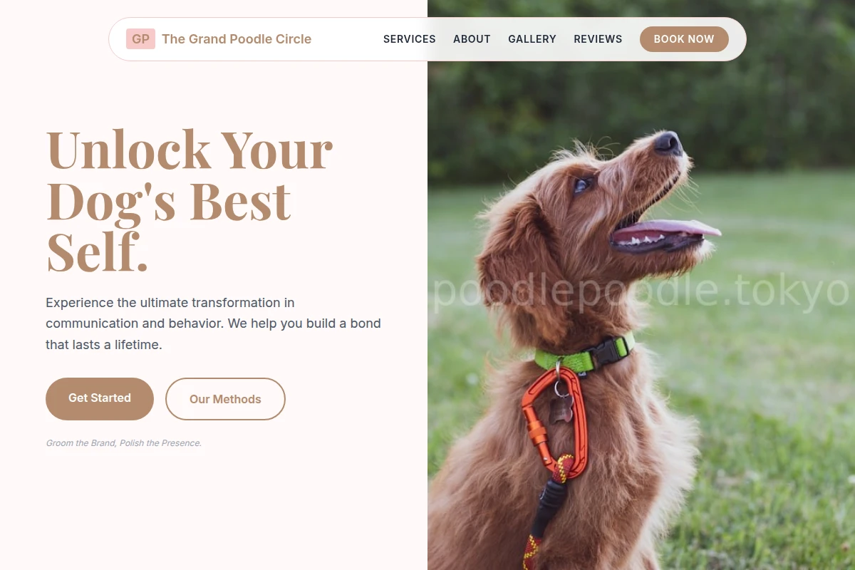 Radiant Dog Training