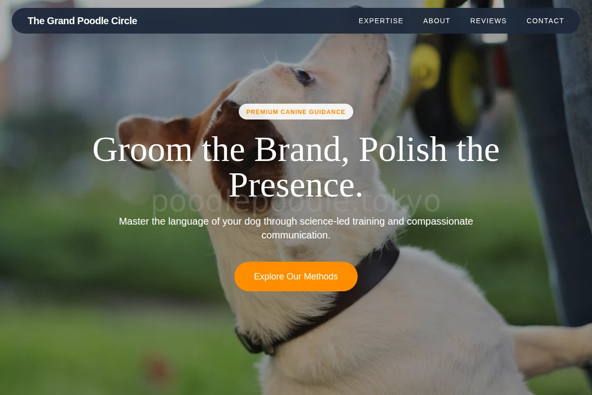 Glossy Dog Training