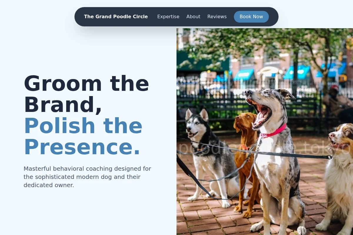 Glossy Dog Training