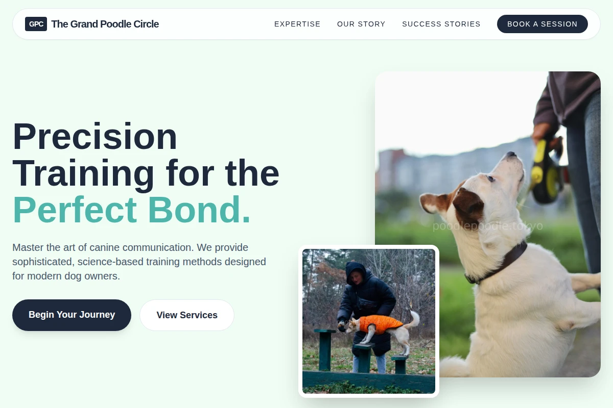Precision Dog Training