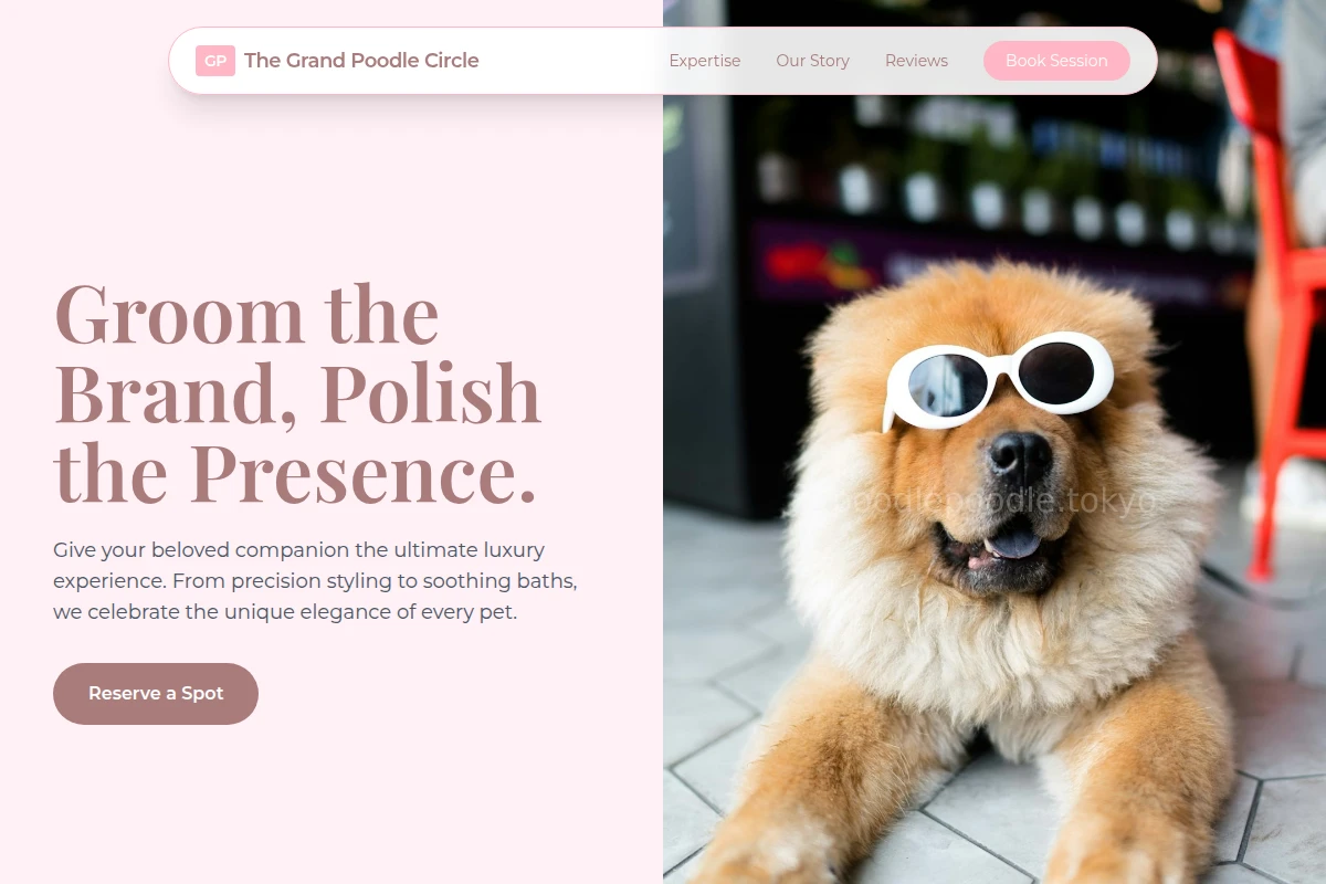 Radiant Pet Grooming