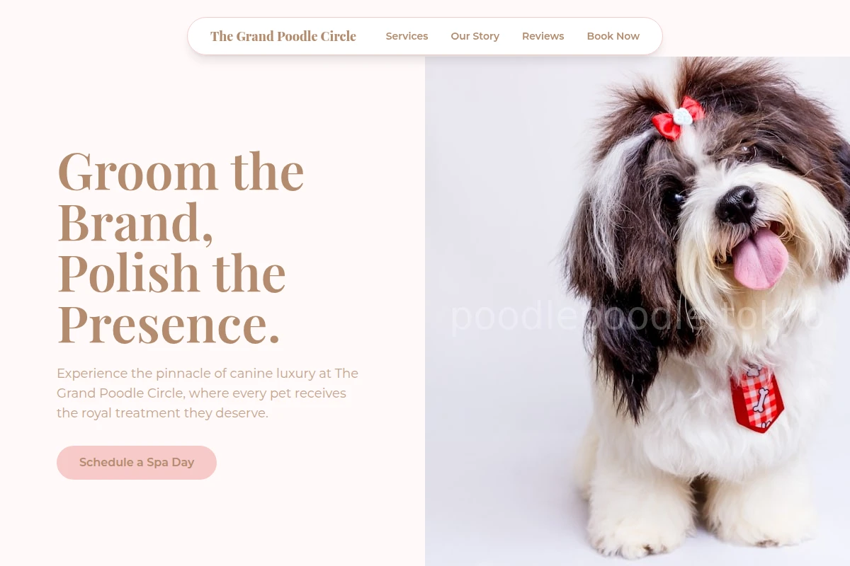 Glossy Pet Grooming