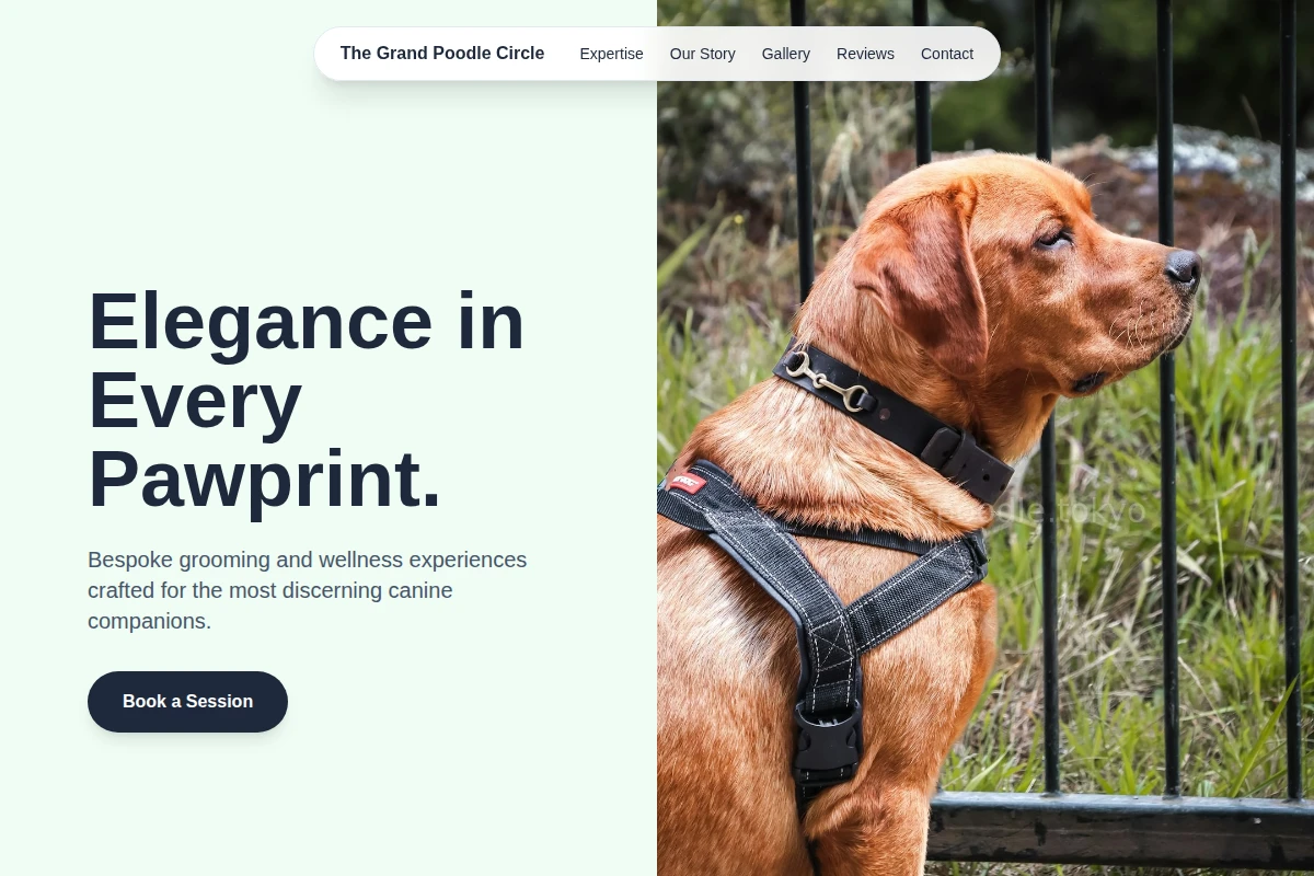 Couture Pet Services