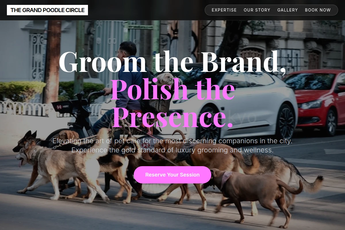 Playful Pet Services