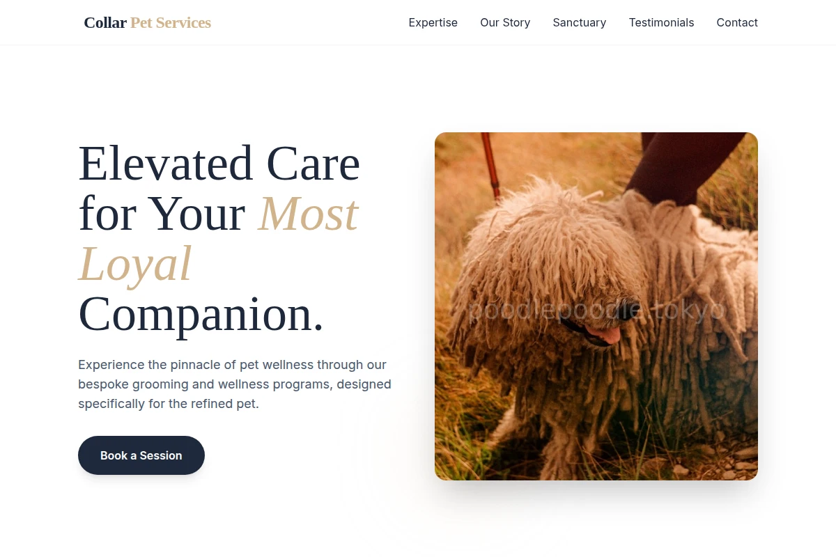 Collar Pet Services