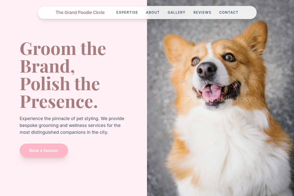 Studio Pet Services