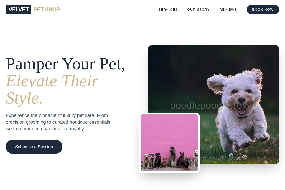 Velvet Pet Shop