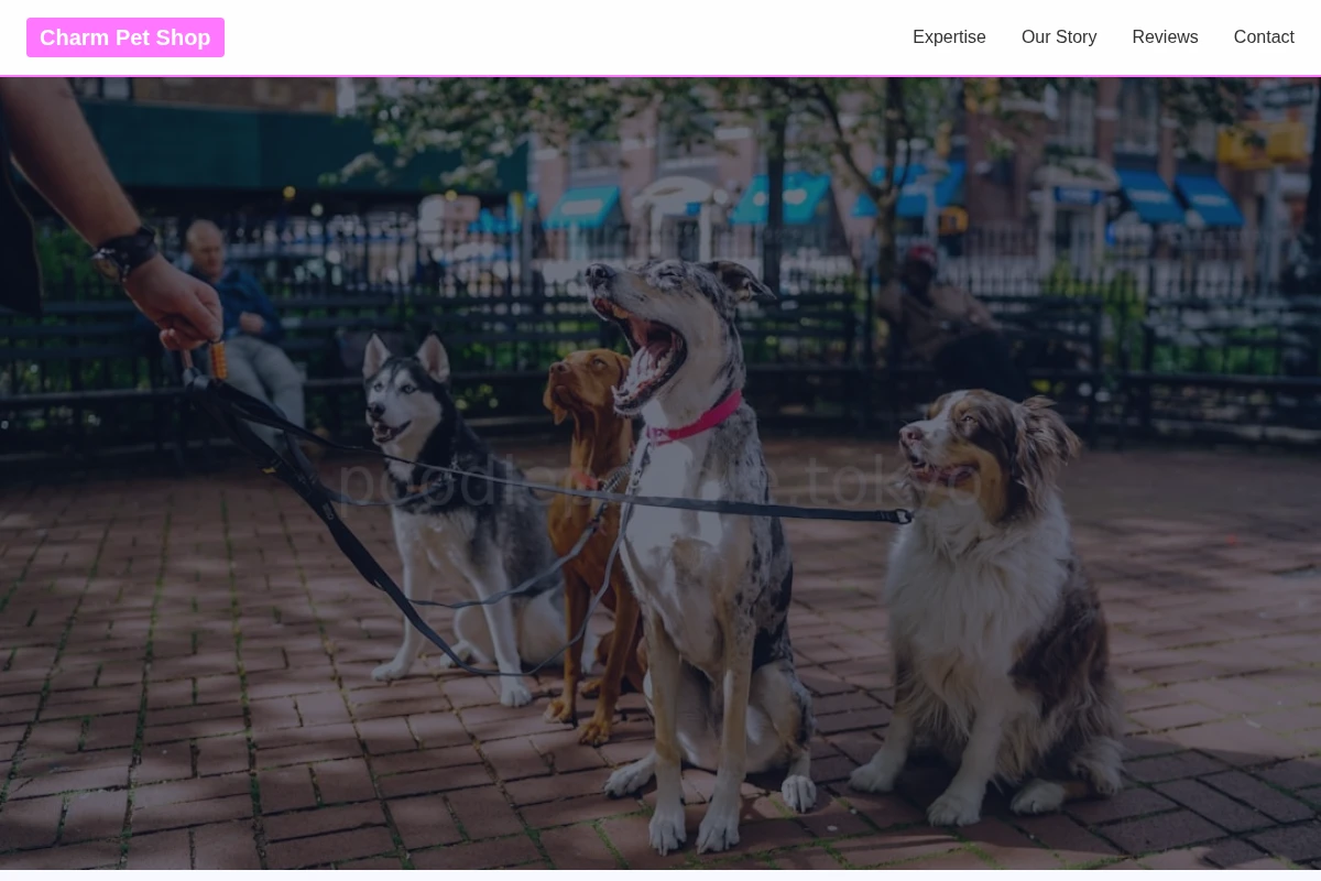 Charm Pet Shop