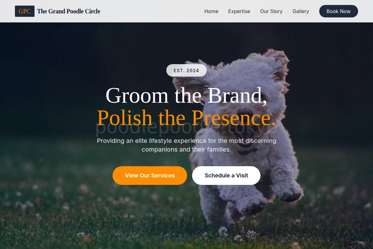 Collar Pet Shop
