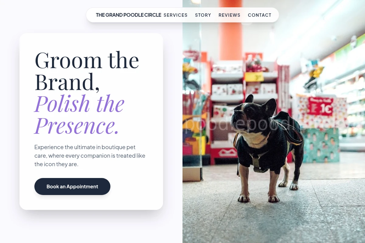 Boutique Pet Shop