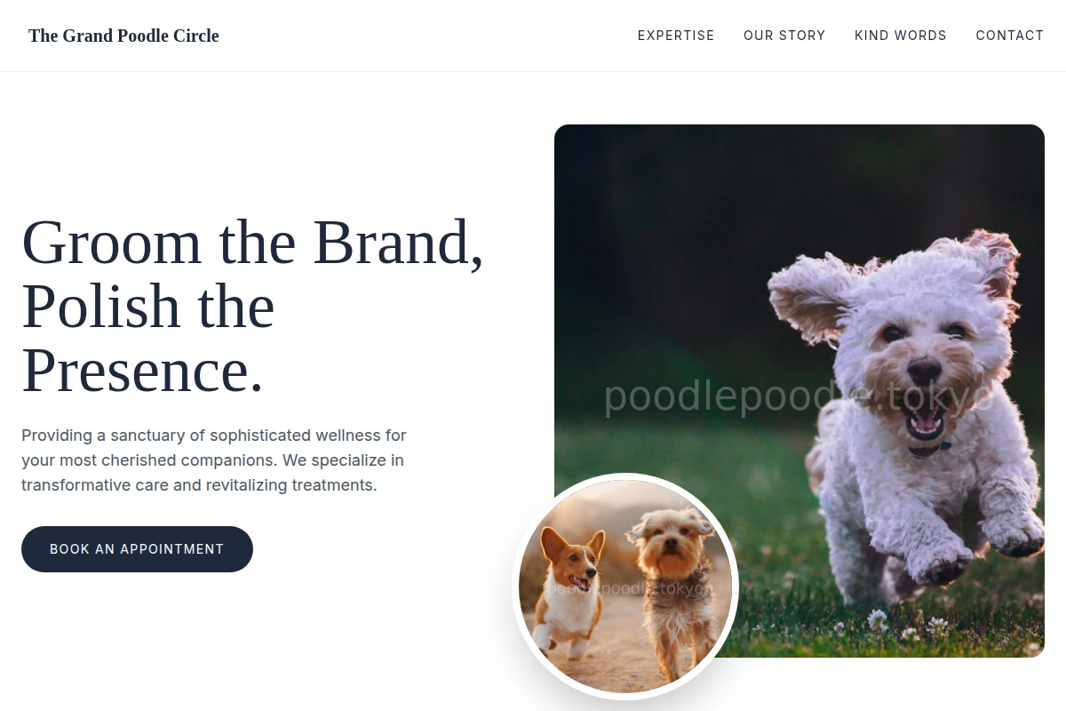 Treatment Pet Shop